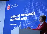 Депутаты приняли отчет врио Губернатора области Андрея Чибиса о результатах деятельности регионального Правительства в прошлом году 
