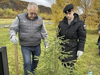 Возле мемориала "Земля единения" в поселке Печенга высадили ели