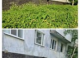 Покос травы на территории у дома № 23 по улице Кирова выполнен