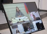 Парламентарии регионов Севера-Запада России обсудили вопросы международного сотрудничества в Арктике 