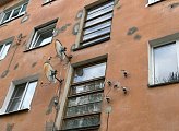 Инициативы двора: депутат Максим Иванов встретился с активными жителями