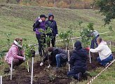 Уважаемые земляки, 12 сентября вместе с неравнодушными мурманчанами разных возрастов традиционно принял участие в общегородской акции "Зеленый рекорд"