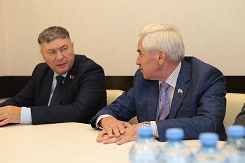 Владимир Мищенко принял участие в совещании по вопросам усиления мер поддержки многодетных семей 