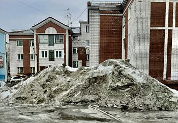 Роман Пономарев направил запросы, связанные с очередным складированием снежных масс во дворах