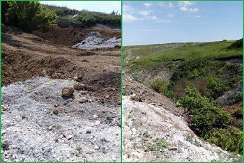 Помощь региональным властям в решении экологических проблем