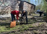 Роман Пономарев принял участие в субботнике во дворах домов 18 на проспекте Ленина и 5 на улице Полярной Дивизии в Мурманске