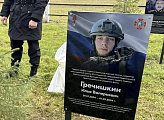Возле мемориала "Земля единения" в поселке Печенга высадили ели