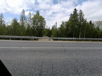 Депутат Мурманской областной Думы Александр Клементьев вступился за ковдорских рыбаков