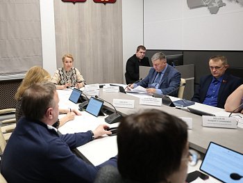 Состоялось заседание комитета по здравоохранению под председательством Лены Лукичевой