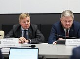 Региональные парламентарии поддержали коллег из Карелии и Хабаровского края