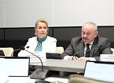 Состоялось заседание комитета по культуре, молодежной политике, туризму и спорту под председательством Ларисы Кругловой