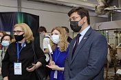 В Мурманске открылся Фестиваль арктических музеев