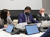 В областной Думе прошло заседание комитета по культуре, молодежной политике, туризму и спорту под председательством Ларисы Кругловой