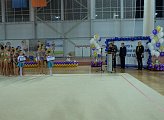  Председатель профильного комитета Думы Лариса Круглова в Мурманске поздравила победителей и призеров первенства СЗФО по художественной гимнастике