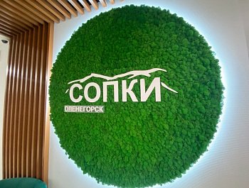 В Оленегорске открылся  центр поддержки и развития молодежных инициатив «Сопки»