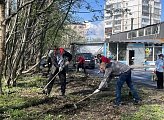 Роман Пономарев принял участие в субботнике во дворах домов 18 на проспекте Ленина и 5 на улице Полярной Дивизии в Мурманске
