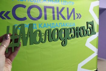 О реализации молодежной политики в регионе шла речь на заседании Правительства Мурманской области