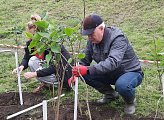 Уважаемые земляки, 12 сентября вместе с неравнодушными мурманчанами разных возрастов традиционно принял участие в общегородской акции "Зеленый рекорд"