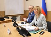 Прошло заседание комитета по бюджету, финансам, налогам и экономике под председательством Ирины Просоленко