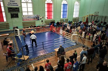 Чемпионат и первенство региона по кикбоксингу «Памяти Элины Гисмеевой» проходят в Мурманске