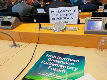 Вице-спикер Мурманской областной Думы, глава комитета ПАСЗР по межпарламентскому сотрудничеству Наталия Ведищева в Брюсселе приняла участие в работе V парламентского форума «Северное измерение»