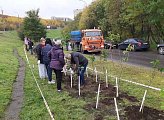 В Мурманске прошла акция «Зеленый рекорд»