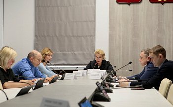 Состоялось заседание комитета областной Думы по здравоохранению под председательством Лены Лукичевой