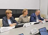 Депутаты обсудили дополнительные меры социальной поддержки для многодетных семей 