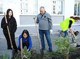 В Полярном высадили саженцы шиповника, смородины и сирени в рамках акции по благоустройству