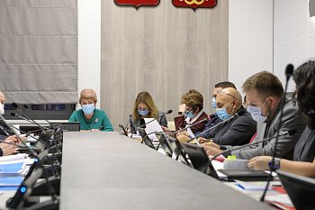 Комитет по социальной политике и охране здоровья рассмотрел проект областного бюджета на плановый период до 2023 года