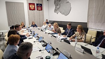 В Думе обсудили вопросы обеспечения участников специальной военной операции и иных категорий граждан протезами и протезно-ортопедическими изделиями в Мурманской области