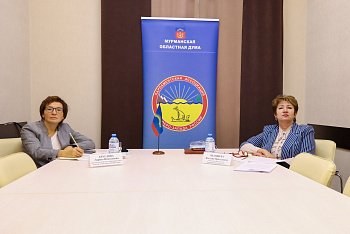 Вице-спикер областной Думы Наталия Ведищева и председатель профильного комитета Лариса Круглова приняли участие в заседании постоянного комитета ПАСЗР по образованию, науке и высшей школе