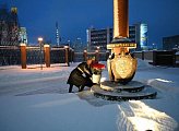Спикер областной Думы Сергей Дубовой поздравил сотрудников органов госбезопасности с профессиональным праздником