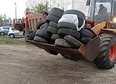 Роман Пономарев: контейнерные площадки  у домов  №37, 38, 39, 41 а также №56, 57 по улице Орликовой полностью очищены от опасных отходов