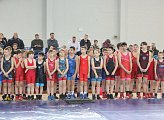 В Мурманске проходят областные соревнования по спортивной борьбе