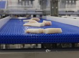 В Коле открыт новый завод по переработке рыбы