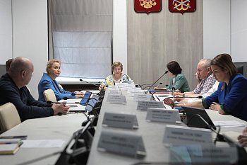 В областной Думе прошло заседание комитета по культуре, молодежной политике, туризму и спорту под председательством Ларисы Кругловой