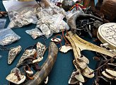Творческий фестиваль "В единстве наша сила" прошел в Туломе
