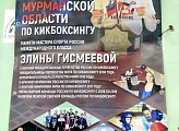 Уважаемые земляки, город Мурманск - спортивный город, в котором проводятся соревнования по различным видам спорта, но особенно важны соревнования, посвященные знаменитым землякам