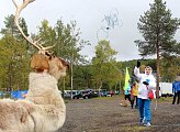 В Лопарской прошли XXIII традиционные Саамские игры