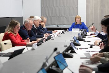 Состоялось заседание комитета по бюджету, финансам, налогам и экономике под председательством Ирины Просоленко