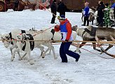 В Ловозере состоялись соревнования по национальным видам спорта 