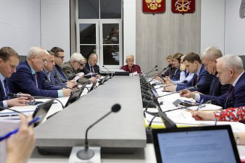 Комитет по социальной политике и охране здоровья поддержал инициативу о единовременной денежной выплате взамен земельного участка многодетным семьям