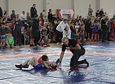 В Мурманске проходят областные соревнования по спортивной борьбе