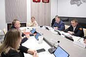 Состоялось  заседание комитета по здравоохранению под председательством Лены Лукичевой