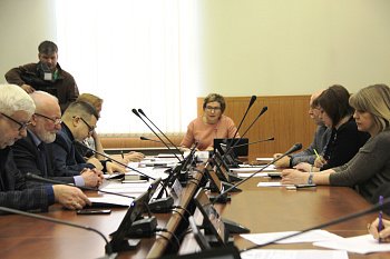 В областной Думе прошло заседание комитета по образованию, науке, культуре, делам семьи, молодежи и спорту под председательством Ларисы Кругловой