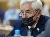 Дума утвердила состав комитетов регионального парламента 
