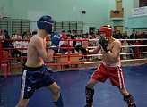 Чемпионат и первенство региона по кикбоксингу «Памяти Элины Гисмеевой» проходят в Мурманске