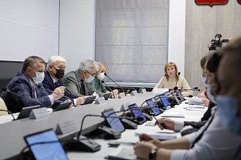 Состоялось заседание комитета по бюджету, финансам, налогам и экономике