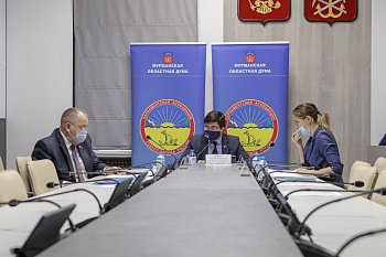 Юрий Анатольевич Шадрин принял участие в заседании постоянного комитета по межпарламентскому сотрудничеству Парламентской Ассоциации Северо-Запада России.